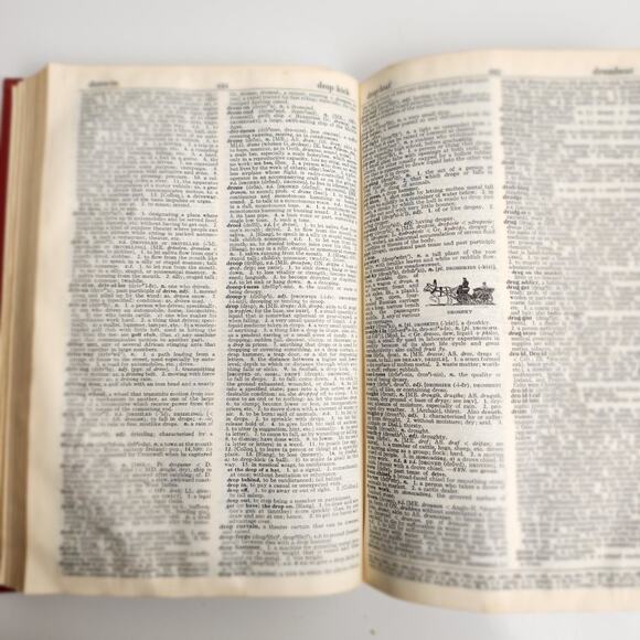 Webster's New World Dictionary of the American Language College Edition 1966 - Picture 5 of 11